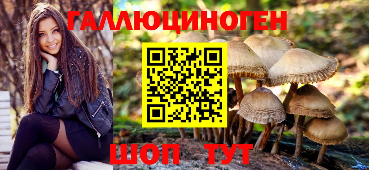 Ишимбай  где купить наркоту  Вход с VPN  Галлюциногенные грибы мухоморы 